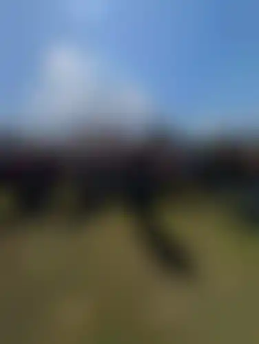 Fotografija s spletne strani Gimnazija Poljane Ljubljana