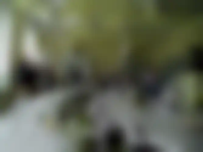 Fotografija s spletne strani Gimnazija Poljane Ljubljana